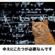 ヒメ日記 2025/10/21 07:05 投稿 金井 桃李（とうり）