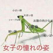 ヒメ日記 2025/10/22 01:34 投稿 金井 桃李（とうり）