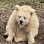 ヒメ日記 2025/11/08 15:44 投稿 金井 桃李（とうり）