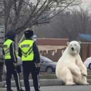 ヒメ日記 2025/11/13 14:54 投稿 金井 桃李（とうり）