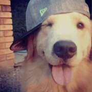 ヒメ日記 2025/11/20 23:25 投稿 金井 桃李（とうり）