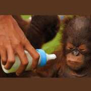 ヒメ日記 2025/11/22 10:44 投稿 金井 桃李（とうり）