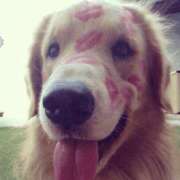 ヒメ日記 2025/11/23 12:24 投稿 金井 桃李（とうり）