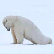 ヒメ日記 2025/11/24 01:24 投稿 金井 桃李（とうり）