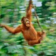 ヒメ日記 2025/11/24 03:54 投稿 金井 桃李（とうり）