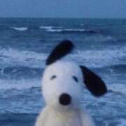 ヒメ日記 2025/11/24 04:10 投稿 金井 桃李（とうり）