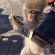 ヒメ日記 2025/11/25 00:44 投稿 金井 桃李（とうり）