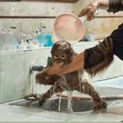 ヒメ日記 2025/11/27 01:04 投稿 金井 桃李（とうり）