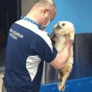 ヒメ日記 2025/11/27 15:57 投稿 金井 桃李（とうり）