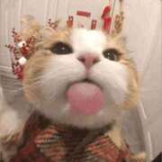 ヒメ日記 2025/11/27 20:11 投稿 金井 桃李（とうり）