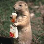 ヒメ日記 2025/11/29 22:34 投稿 金井 桃李（とうり）