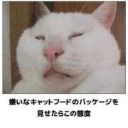 ヒメ日記 2025/11/30 15:34 投稿 金井 桃李（とうり）