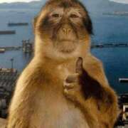 ヒメ日記 2025/11/30 20:13 投稿 金井 桃李（とうり）