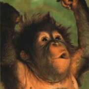 ヒメ日記 2025/12/01 02:34 投稿 金井 桃李（とうり）