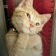 ヒメ日記 2025/12/02 01:14 投稿 金井 桃李（とうり）