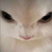 ヒメ日記 2025/12/02 08:14 投稿 金井 桃李（とうり）