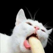 ヒメ日記 2025/12/04 01:44 投稿 金井 桃李（とうり）