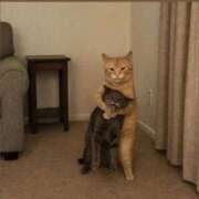 金井 ♡ 桃李（とうり）