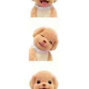 金井 不思議 桃李（とうり）