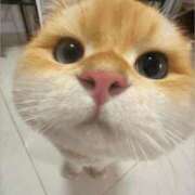 ヒメ日記 2025/12/07 08:34 投稿 金井 桃李（とうり）