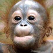 ヒメ日記 2025/12/07 12:24 投稿 金井 桃李（とうり）