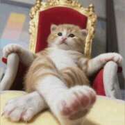 ヒメ日記 2025/12/08 20:34 投稿 金井 桃李（とうり）