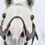 ヒメ日記 2025/12/09 11:54 投稿 金井 桃李（とうり）