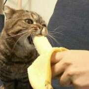 ヒメ日記 2025/12/12 05:54 投稿 金井 桃李（とうり）