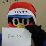 ヒメ日記 2025/12/15 23:54 投稿 金井 桃李（とうり）