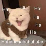 ヒメ日記 2025/12/16 00:34 投稿 金井 桃李（とうり）