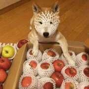 金井 どタイプの男の話と女の闇の話 桃李（とうり）