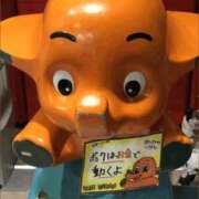 金井 ゆーきぃ 桃李（とうり）