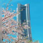 ヒメ日記 2026/04/03 21:14 投稿 つむぎ 元町奥さま