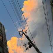 ヒメ日記 2025/08/08 20:21 投稿 るな 秋葉原コスプレ学園(AKG)