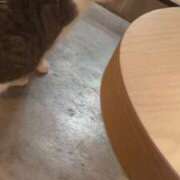 ヒメ日記 2025/09/11 23:11 投稿 るな 秋葉原コスプレ学園(AKG)