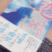 ヒメ日記 2025/11/14 16:09 投稿 るな 秋葉原コスプレ学園(AKG)