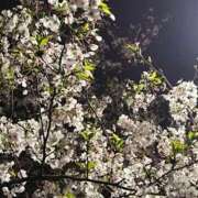 ヒメ日記 2026/04/09 12:22 投稿 るな 秋葉原コスプレ学園(AKG)