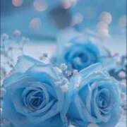 ヒメ日記 2025/05/31 11:20 投稿 相楽奈緒 五十路マダムエクスプレス神戸店(カサブランカグループ)