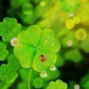 ヒメ日記 2025/09/20 15:28 投稿 相楽奈緒 五十路マダムエクスプレス神戸店(カサブランカグループ)