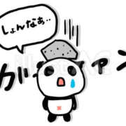 ヒメ日記 2026/03/10 11:50 投稿 相楽奈緒 五十路マダムエクスプレス神戸店(カサブランカグループ)