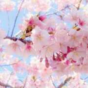 ヒメ日記 2026/03/28 23:10 投稿 相楽奈緒 五十路マダムエクスプレス神戸店(カサブランカグループ)