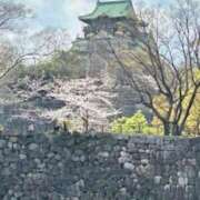 ヒメ日記 2026/04/03 12:02 投稿 相楽奈緒 五十路マダムエクスプレス神戸店(カサブランカグループ)