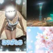 ヒメ日記 2026/04/06 09:40 投稿 相楽奈緒 五十路マダムエクスプレス神戸店(カサブランカグループ)