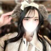 ヒメ日記 2026/02/18 20:07 投稿 なずな ビギナーズ神戸