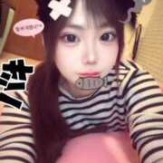 ヒメ日記 2026/04/11 16:16 投稿 おうか ジュリアングループ三多摩店