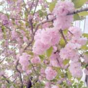 ヒメ日記 2025/05/11 07:01 投稿 向井地れむ 五反田 必要以上のエステ（シンデレラグループ）