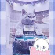 ヒメ日記 2026/01/10 16:01 投稿 向井地れむ 五反田 必要以上のエステ（シンデレラグループ）