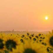 ヒメ日記 2025/06/19 12:08 投稿 れおん 熟女の風俗最終章 立川店