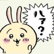 ヒメ日記 2025/05/15 11:30 投稿 優衣 セグレターリオ