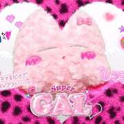 ヒメ日記 2026/01/27 08:01 投稿 優衣 セグレターリオ